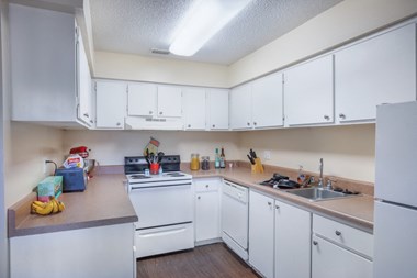 2050 South Ridgewood Avenue 2 Beds Apartment for Rent Photo Gallery 1
